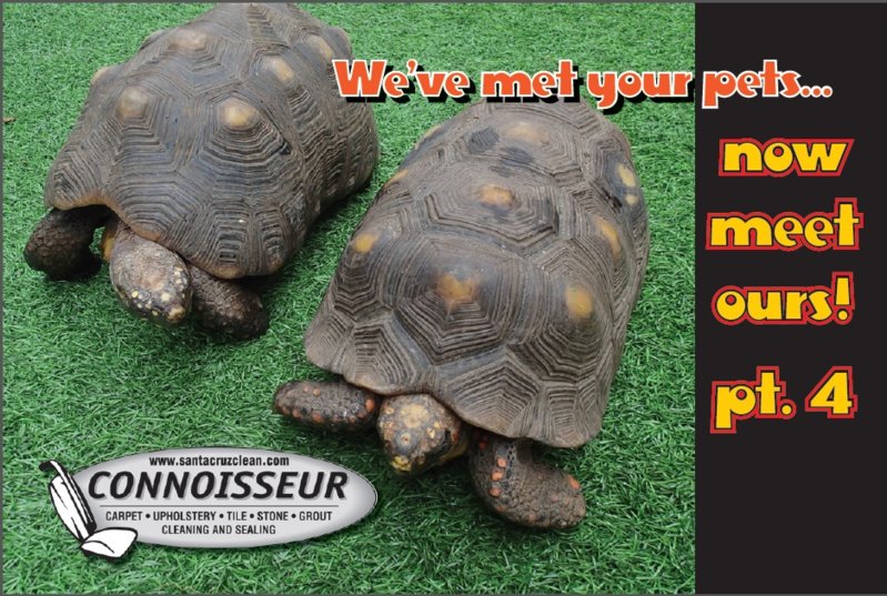 feb card front 2013.jpg