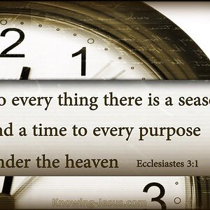 Ecclesiastes 3-1 To Everything There Is A Season Under Heaven brown.jpg